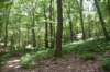 dsc_8480_fs_small.jpg