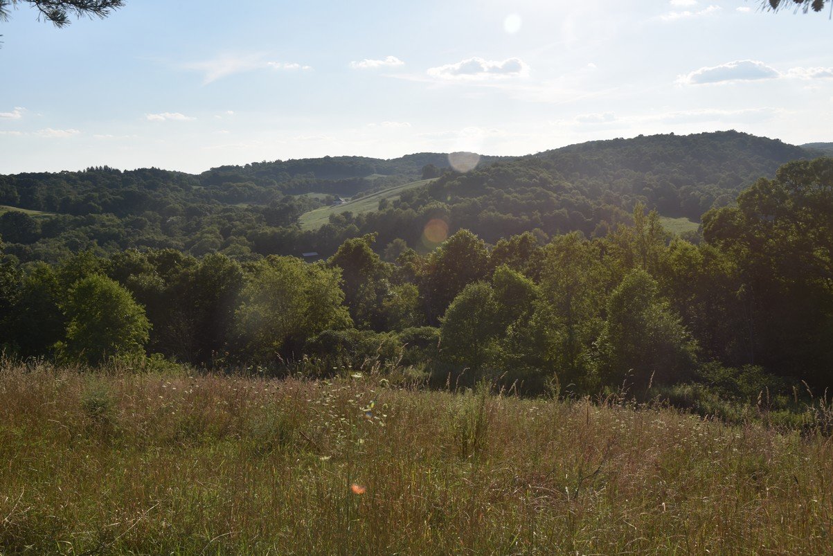 dsc_8646mttopcampground.jpg