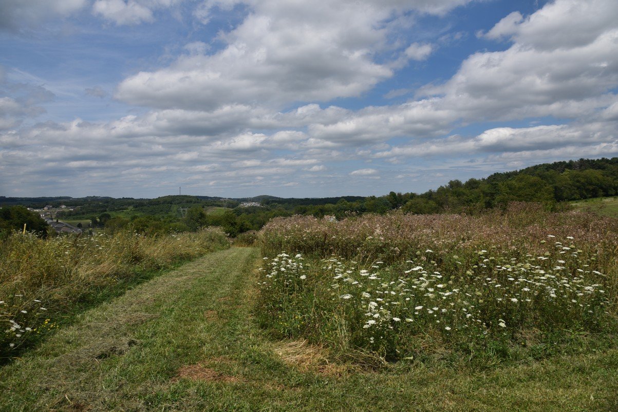 dsc_8978_fs.jpg