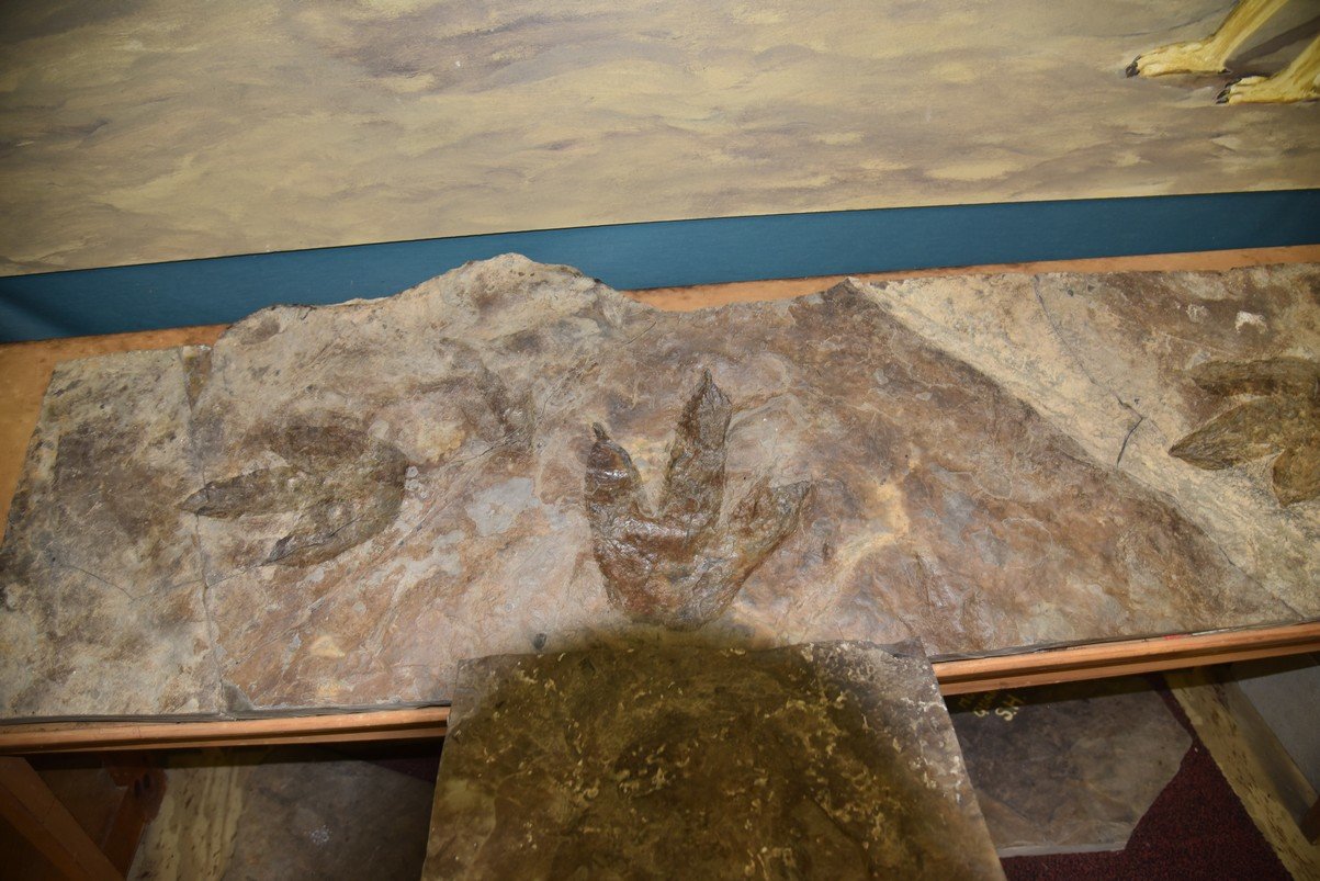 dsc_2976_fs.jpg