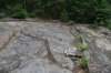 dsc_2991_fs_small.jpg