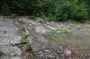 dsc_2993_fs_small.jpg