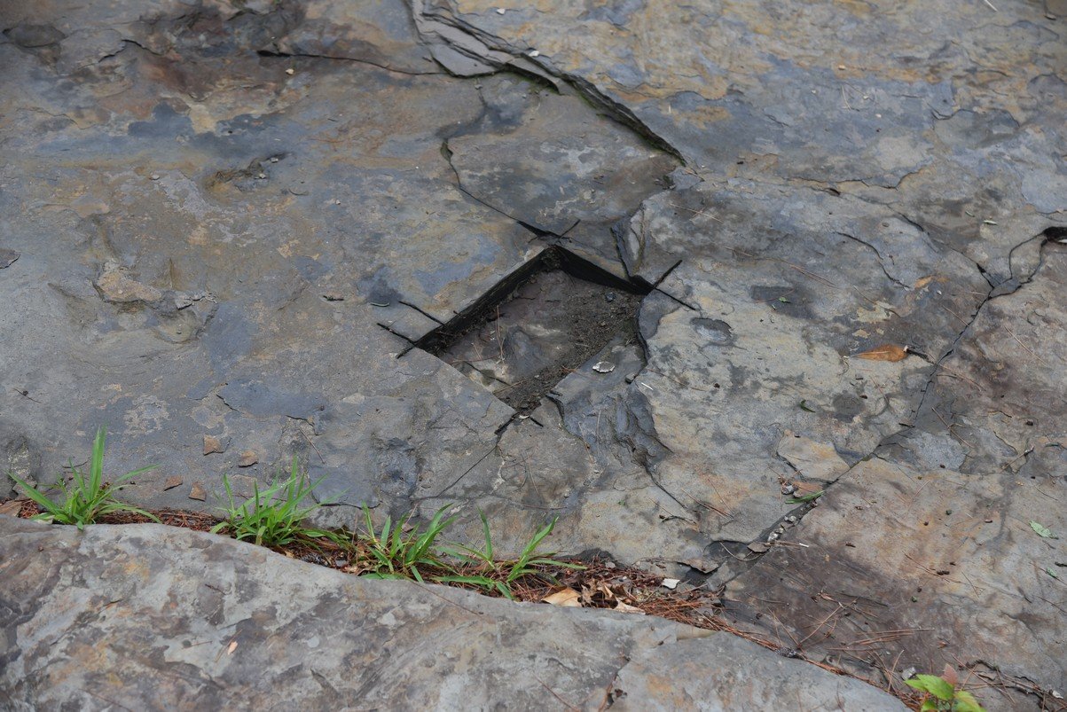 dsc_2995_fs.jpg
