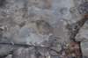 dsc_2996_fs_small.jpg