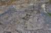 dsc_2997_fs_small.jpg