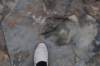 dsc_3000_fs_small.jpg