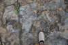 dsc_3001_fs_small.jpg