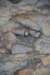 dsc_3004_fs_small.jpg