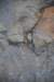 dsc_3005_fs_small.jpg