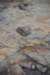 dsc_3006_fs_small.jpg