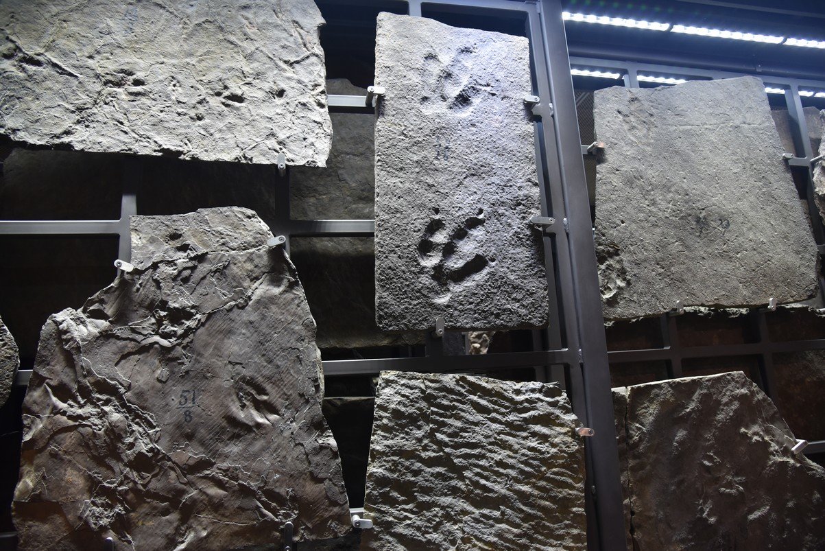 dsc_3055_fs.jpg
