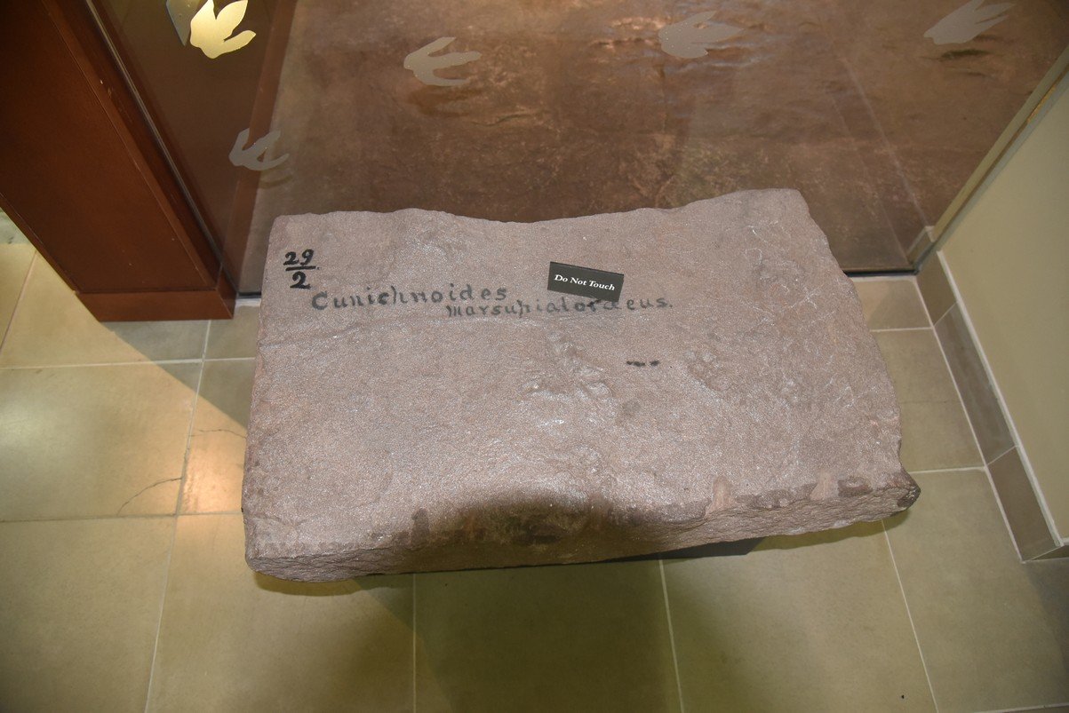 dsc_3067_fs.jpg