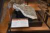 dsc_3069_fs_small.jpg