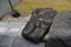 dsc_3083_fs_small.jpg