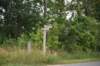 dsc_3090_fs_small.jpg