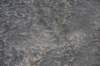 dsc_3101_fs_small.jpg