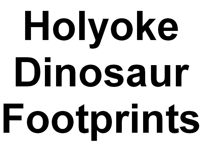 holyokedinosaurfootprints.jpg