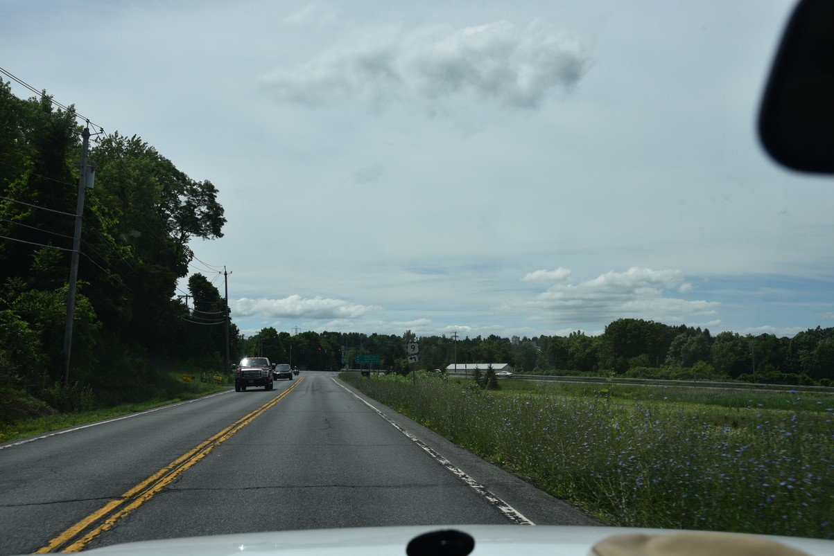 dsc_3131_fs.jpg