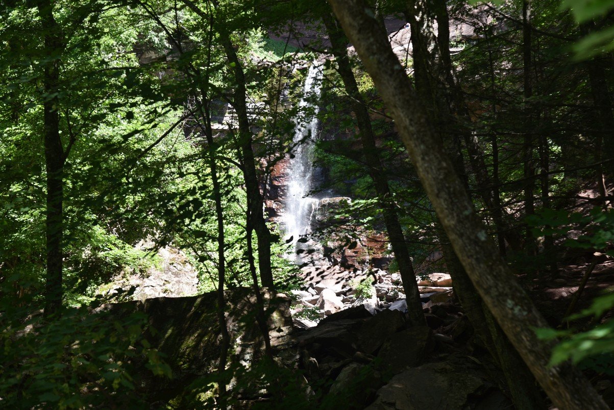 dsc_3186_fs.jpg