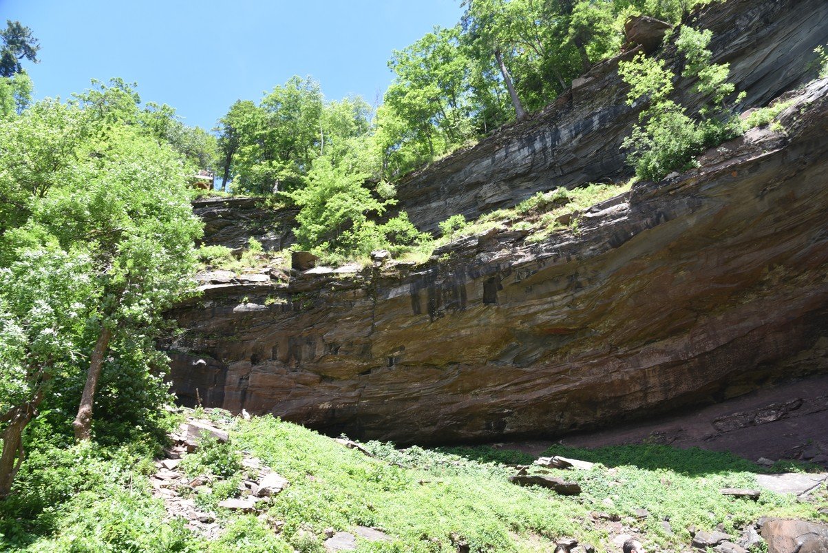dsc_3200_fs.jpg