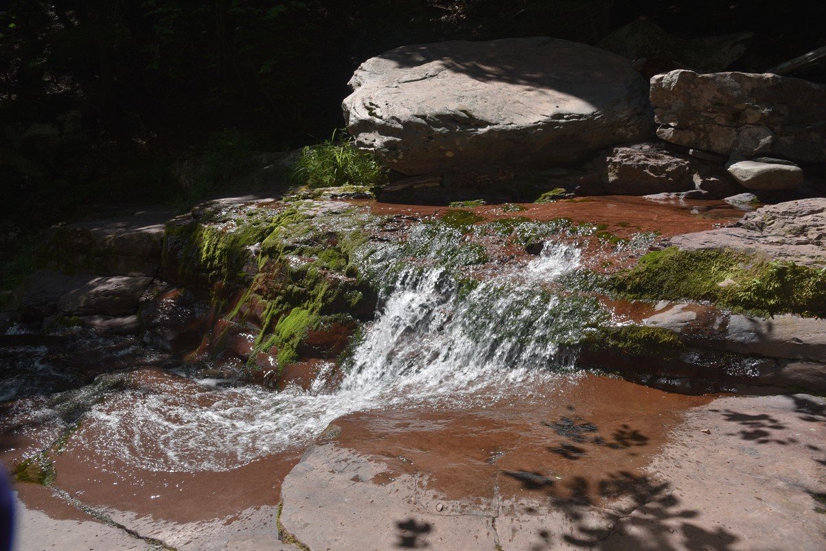 dsc_3207_fs.jpg