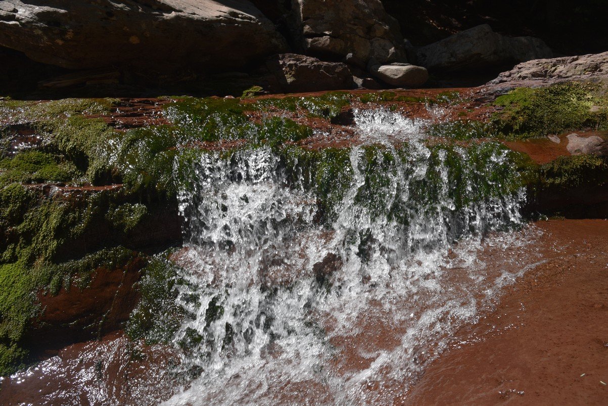 dsc_3209_fs.jpg