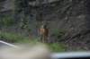 dsc_3221_fs_small.jpg