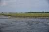 dsc_0388_fs_small.jpg