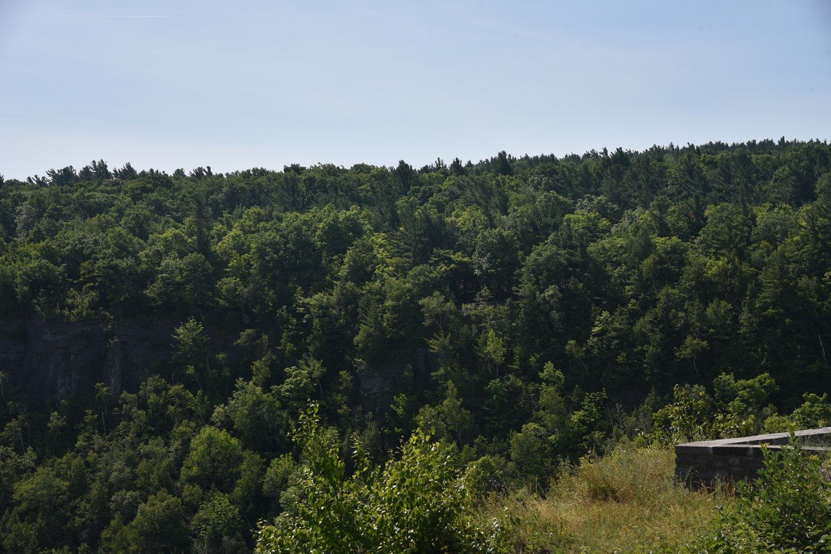 dsc_3268_fs.jpg