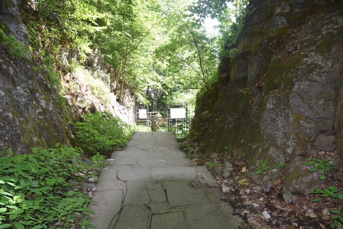 dsc_3284_fs.jpg