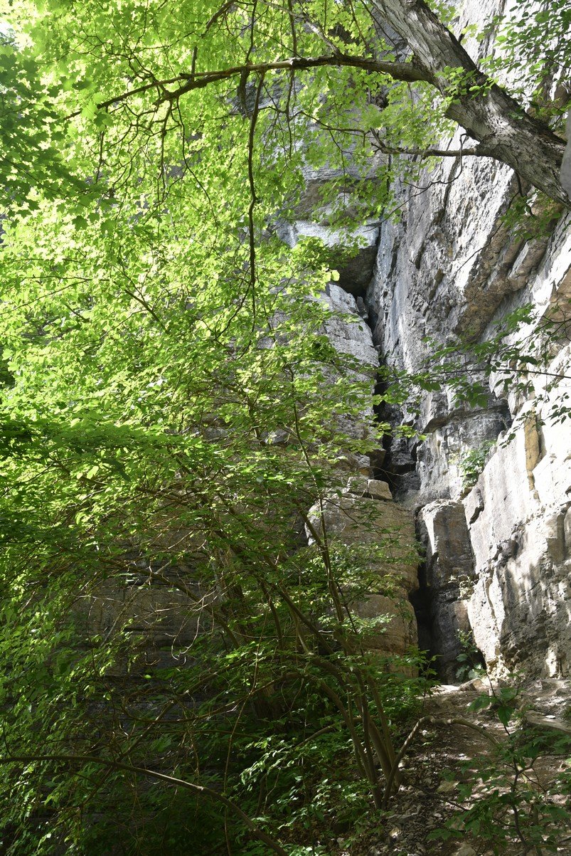 dsc_3291_fs.jpg