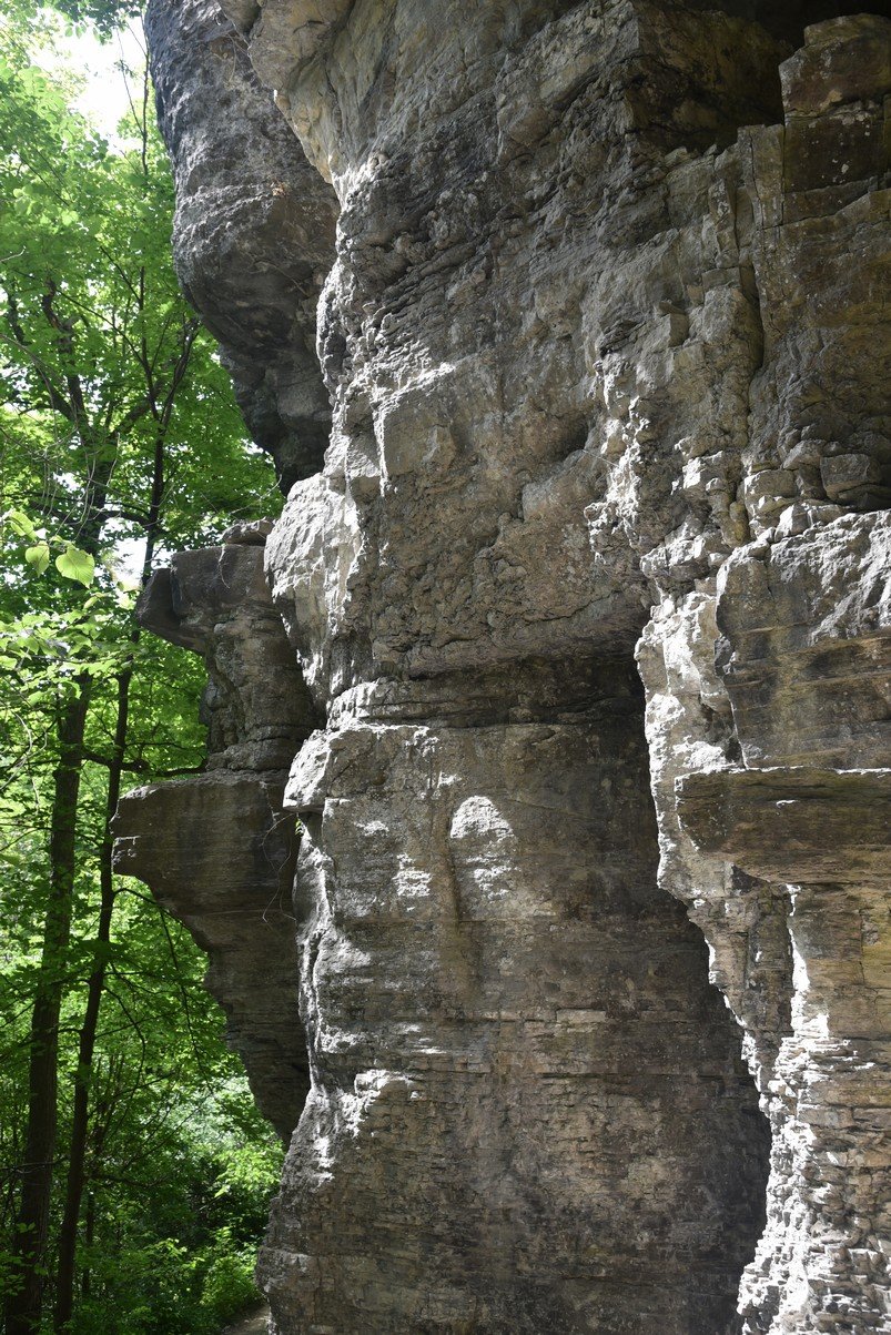 dsc_3295_fs.jpg