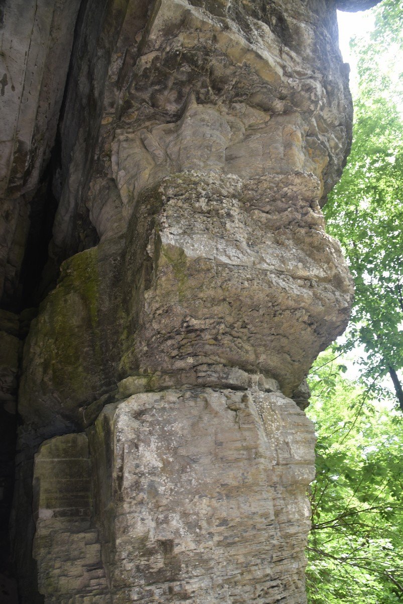 dsc_3299_fs.jpg