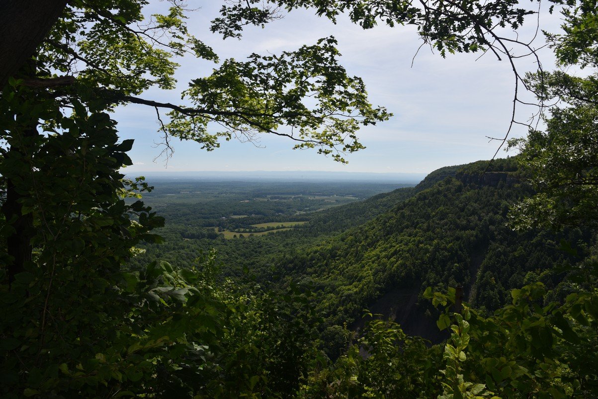 dsc_3319helderbergsescarpment.jpg