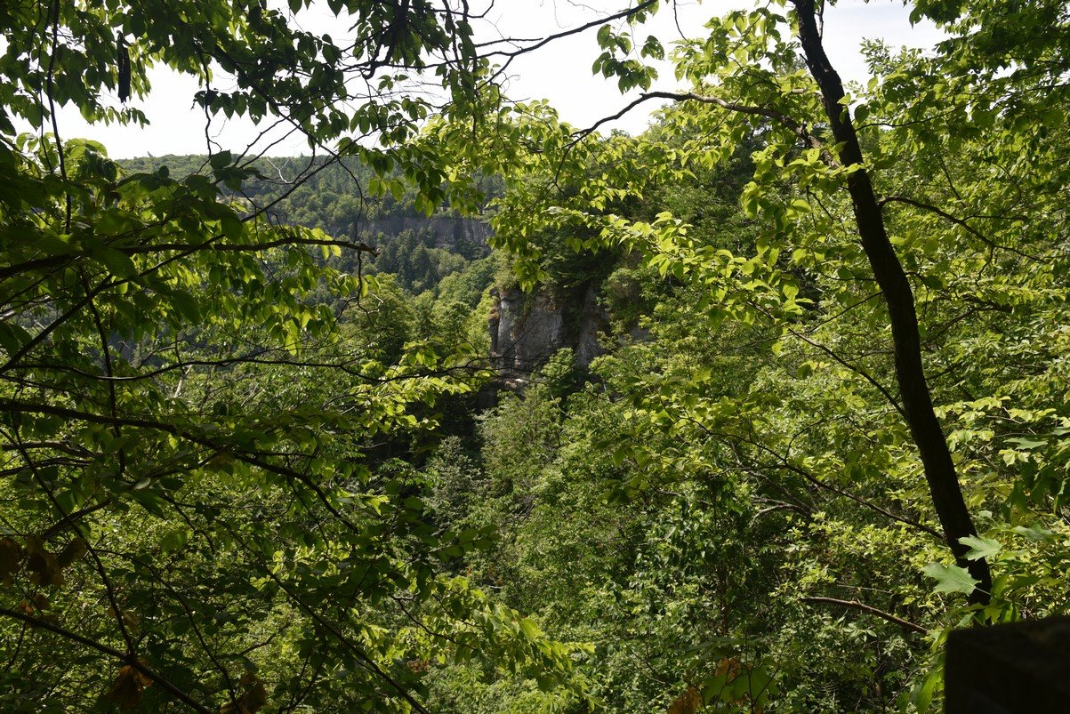 dsc_3324_fs.jpg