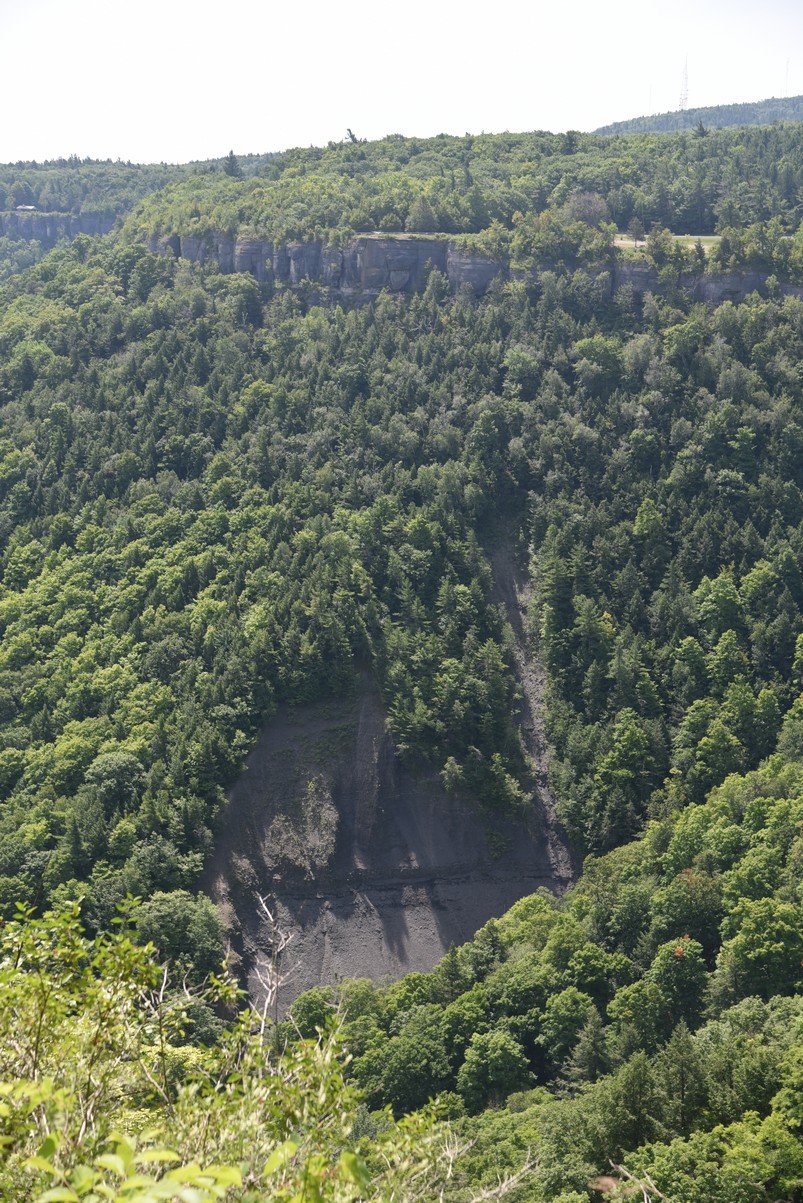 dsc_3326_fs.jpg