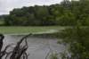 dsc_3910_fs_small.jpg