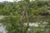 dsc_3911_fs_small.jpg