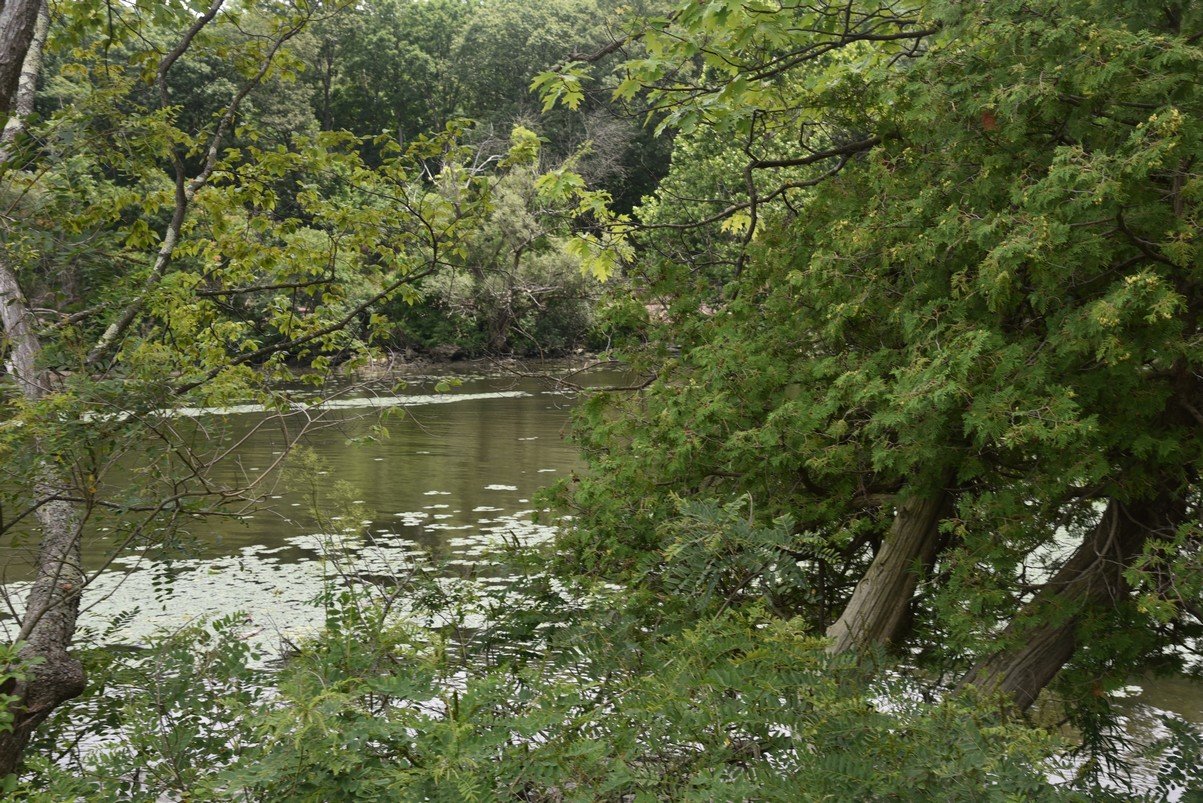 dsc_3912_fs.jpg