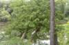 dsc_3913_fs_small.jpg
