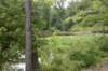 dsc_3914_fs_small.jpg