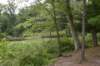 dsc_3915_fs_small.jpg