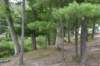 dsc_3916_fs_small.jpg