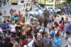 dsc_4781_fs_small.jpg