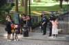 dsc_4783_fs_small.jpg