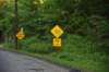 dsc_4839_fs_small.jpg