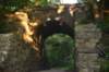 dsc_4841_fs_small.jpg