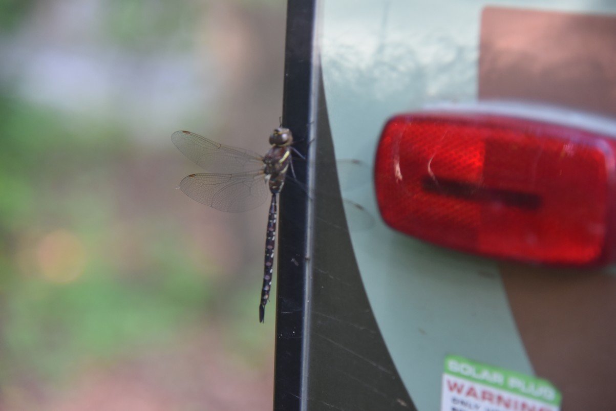 dsc_4844_fs.jpg