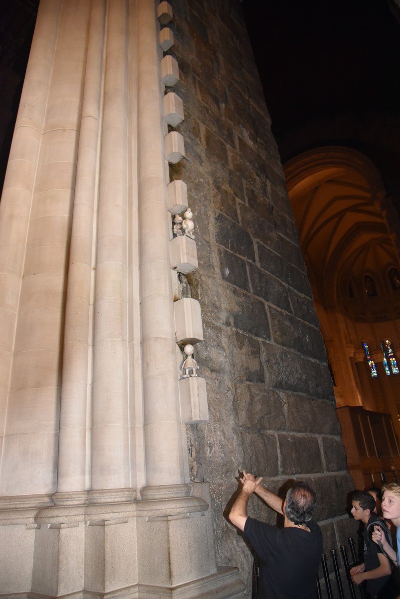 dsc_5019_fs.jpg