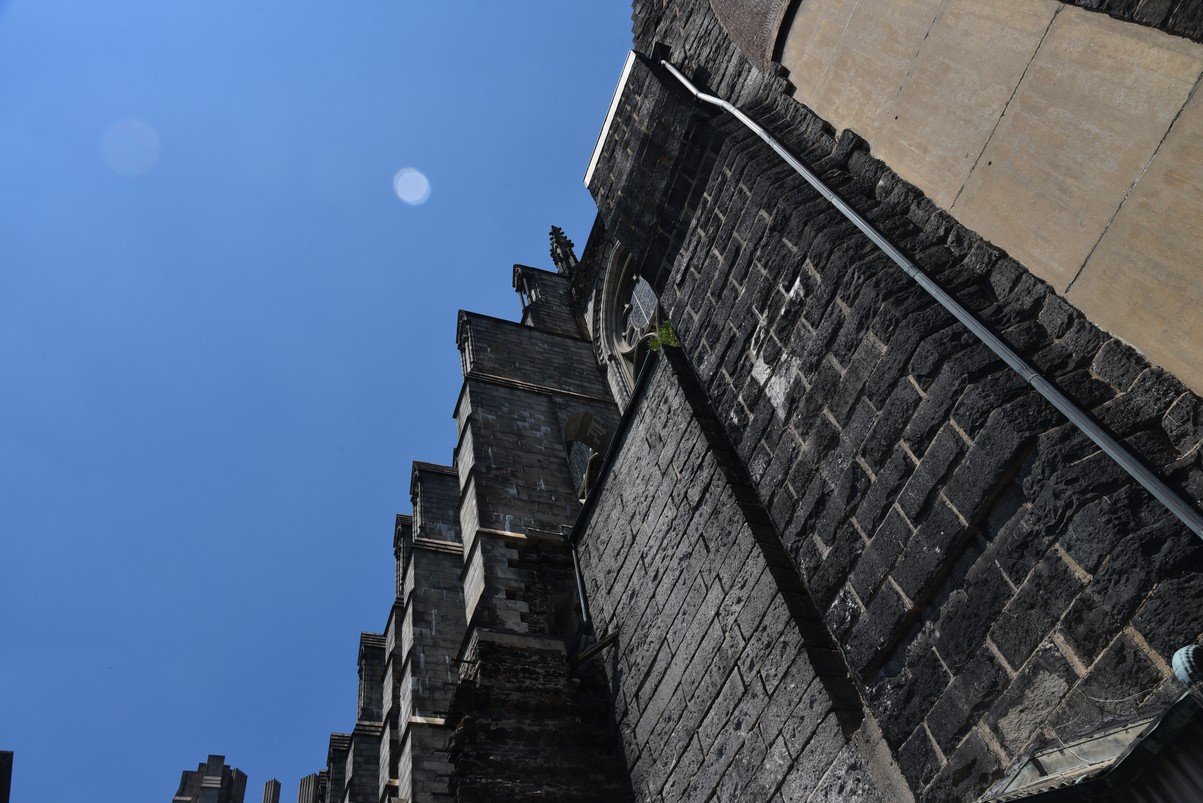 dsc_5021_fs.jpg